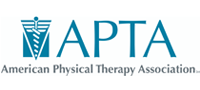 American Physical Therapy Association